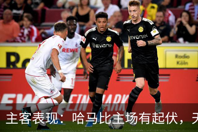 主客表现：哈马比主场有起伏，天狼星客场稳定