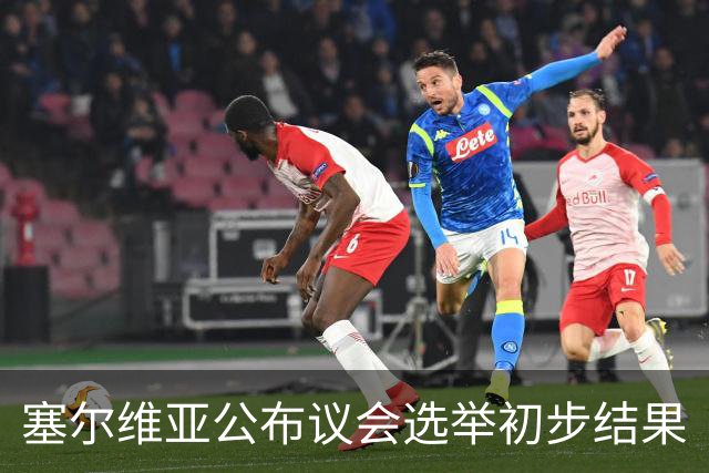 塞尔维亚公布议会选举初步结果