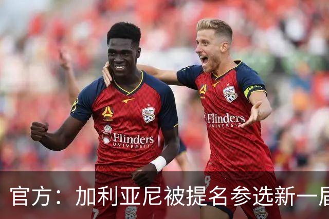 官方：加利亚尼被提名参选新一届意大利足协主席