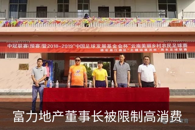 富力地产董事长被限制高消费