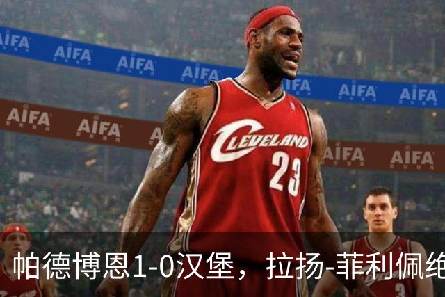 帕德博恩1-0汉堡，拉扬-菲利佩绝杀
