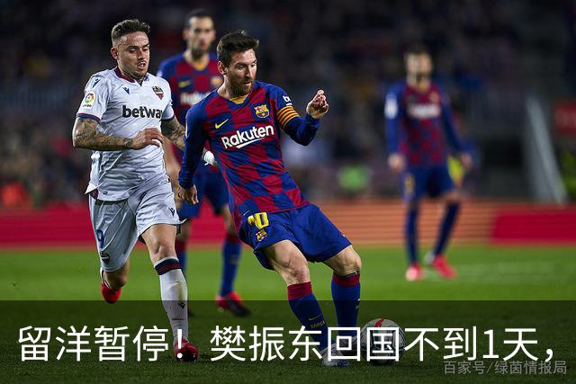 留洋暂停！樊振东回国不到1天，正式官宣新身份，终于等到这一天