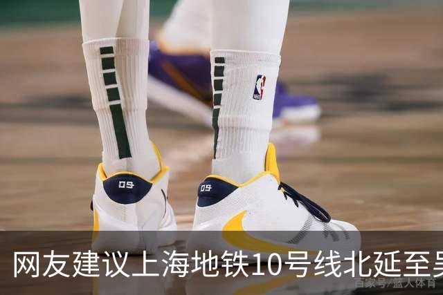 网友建议上海地铁10号线北延至吴淞国际邮轮码头，市规划资源局回应