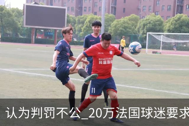 认为判罚不公 20万法国球迷要求世界杯决赛重赛